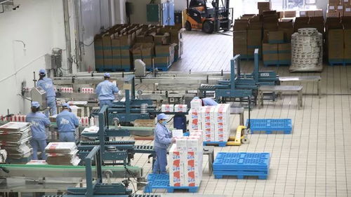 打造一片凈土，開足馬力保牛奶制品安全供應與勞動保護用品銷售